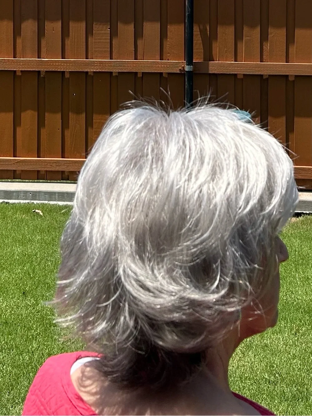 Raquel Welch Trend Setter Wig Natural R51/61 Iced Granita Large Cap
